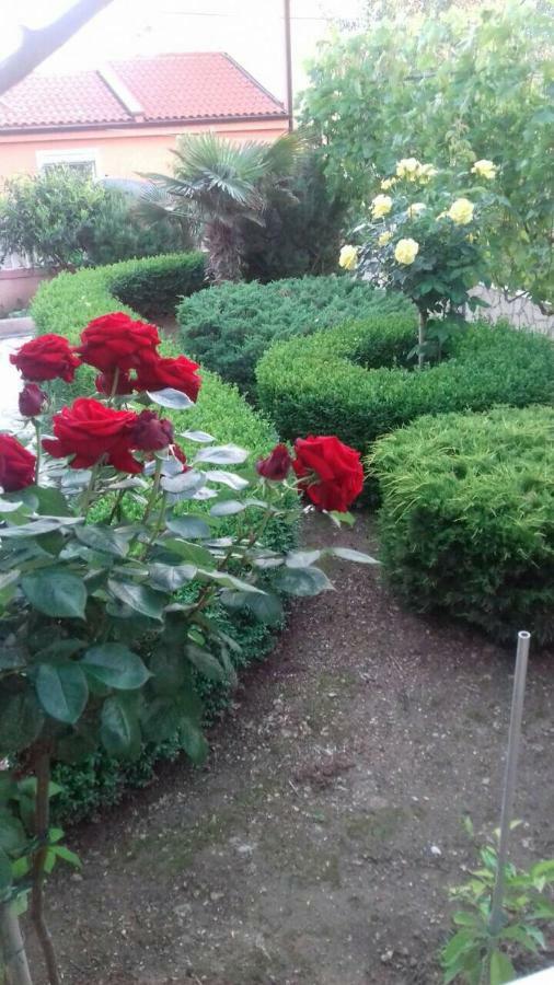 Apartmani Misak ヴーシ エクステリア 写真